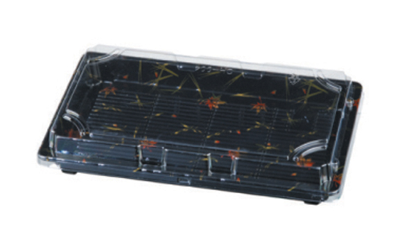 PLASTIC CONTAINER WL-09